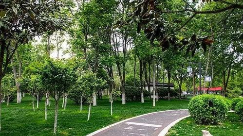 汝州都市爆料最新消息,都市风云再起,揭秘背后惊人真相!